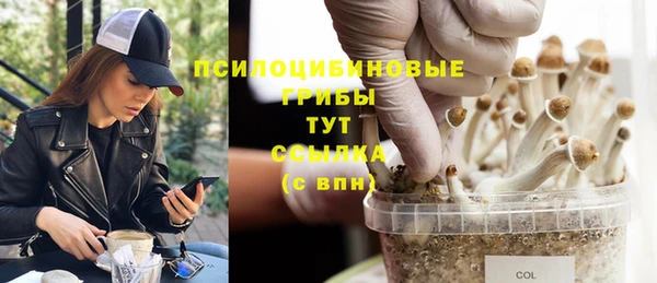 соль курить ск Алзамай