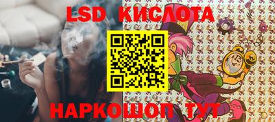 стафф Бийск