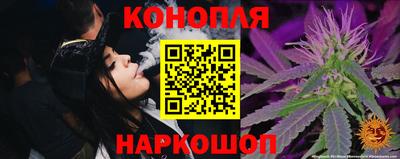 стафф Бийск
