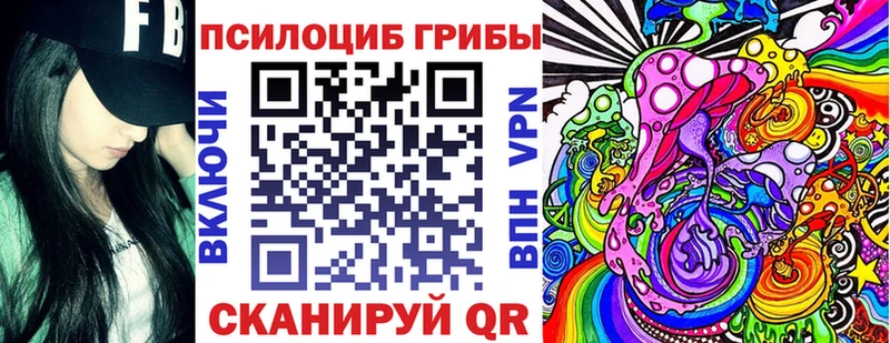 Псилоцибиновые грибы Psilocybine cubensis  закладки  Йошкар-Ола 