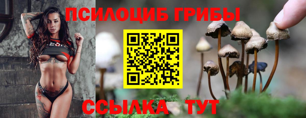 Псилоцибиновые грибы мухоморы  Вход с VPN  Псилоцибиновые грибы Cubensis  купить  сайты  Йошкар-Ола 